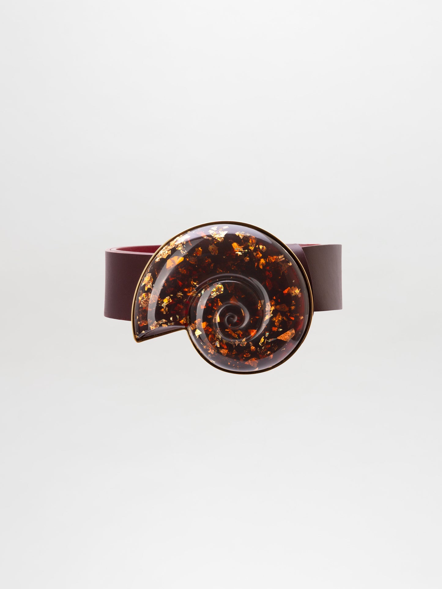 Nautilus Belt
