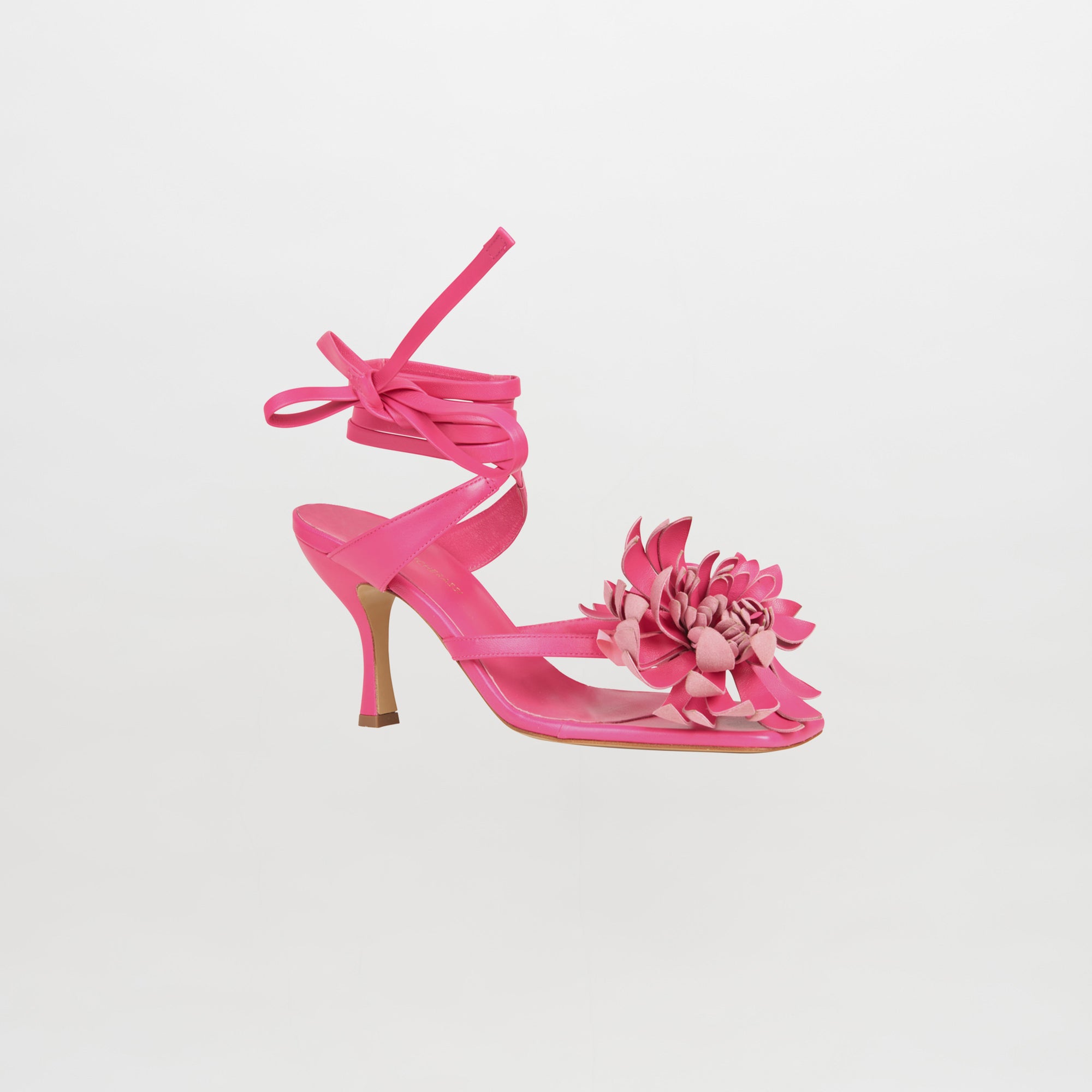 Tita_Fuchsia_cc527214-d320-4ed5-bf00-a986a7fa24b7